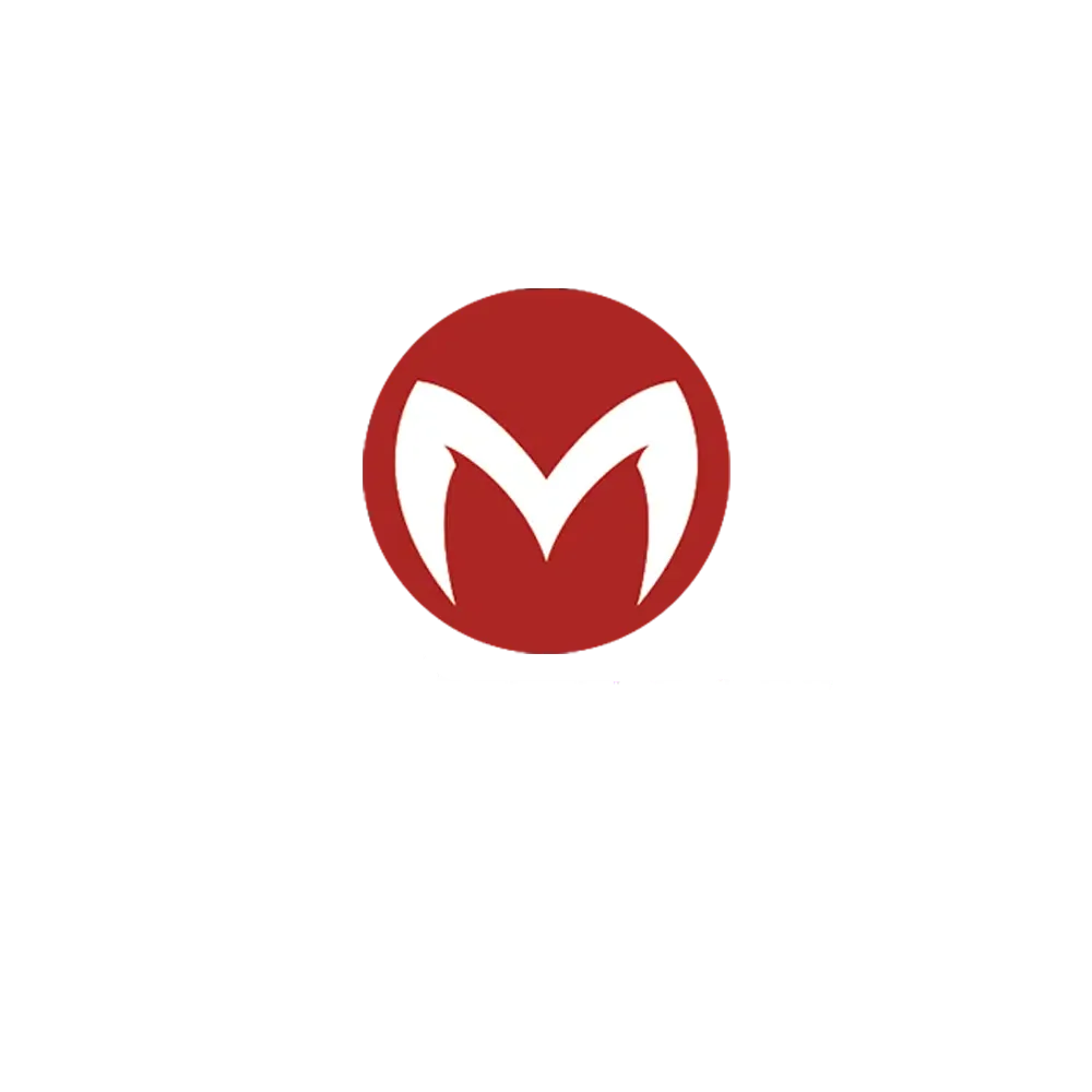 game provider